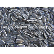 Sunflower Seeds